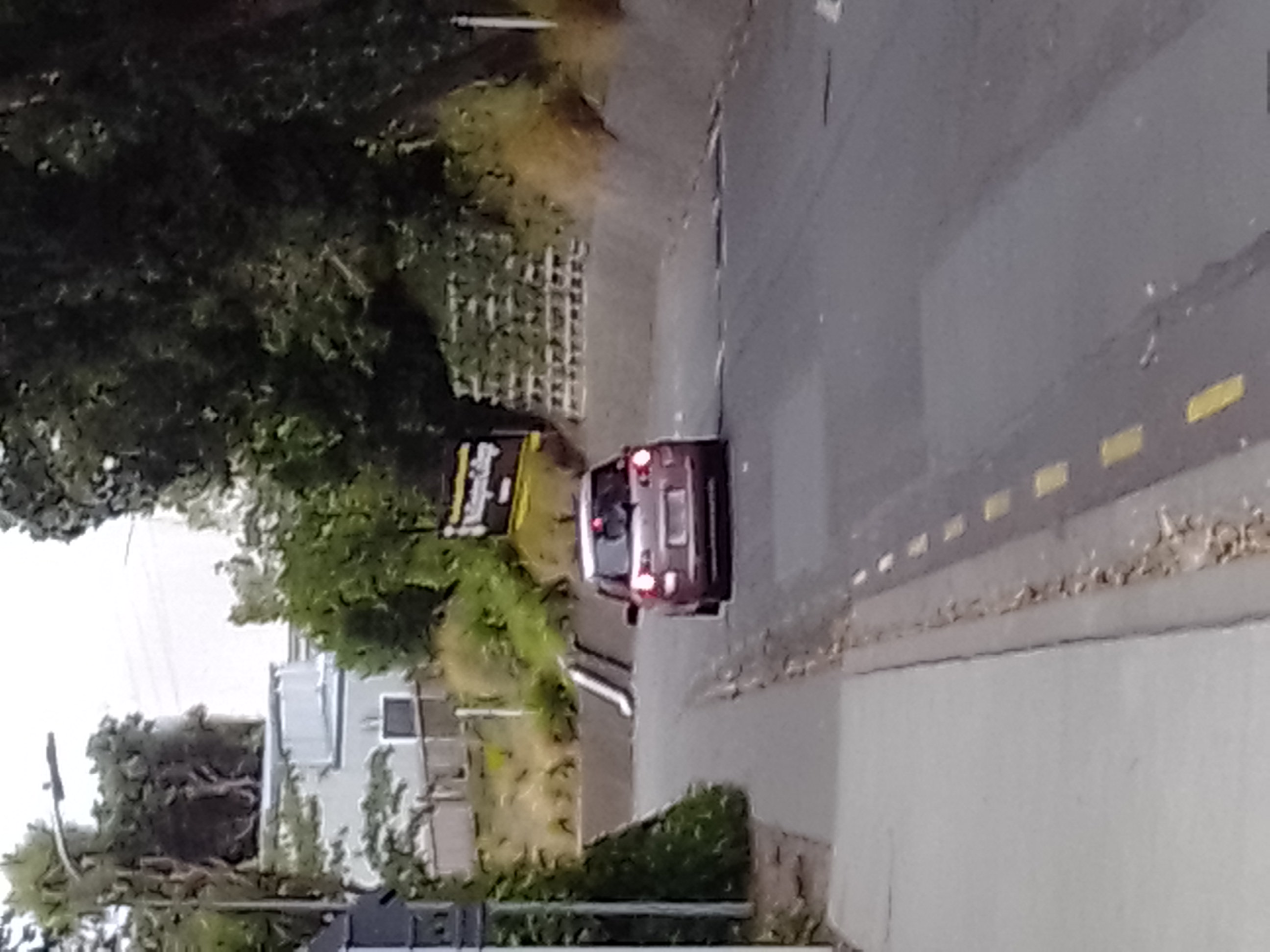 Amazing quality image of Aroha's car going down the driveway